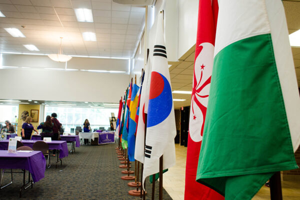 A row of flags representing international countries