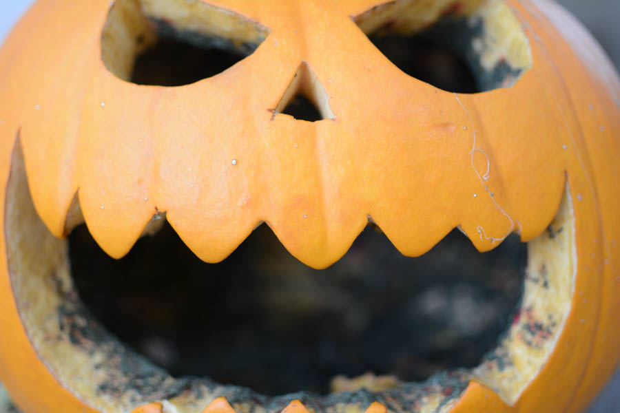 Carved pumpkin