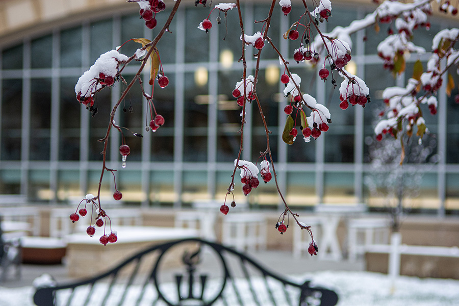 Snowy front of Kryzsko Commons