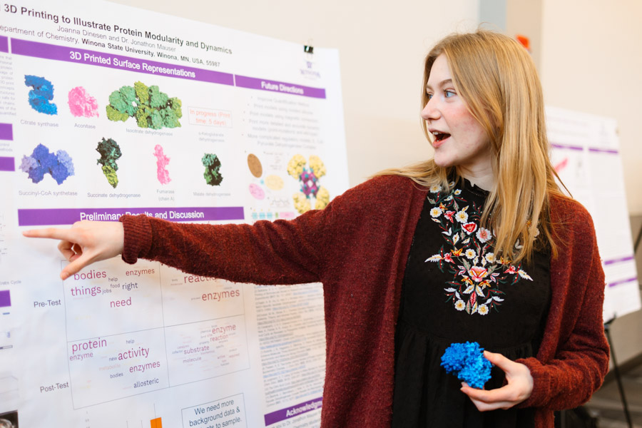 WSU student holding a 3D model and presenting findings on poster.