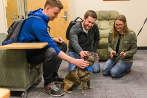 WSU students petting a therapy dog in an office.