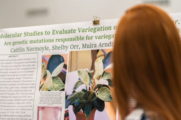 Student viewing research poster