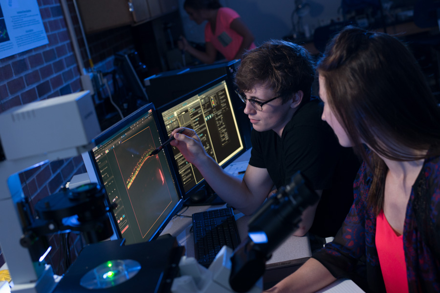 WSU students conduct bioinformatics research in a lab.