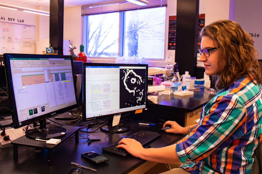 A male WSU student analyzes scientific data.