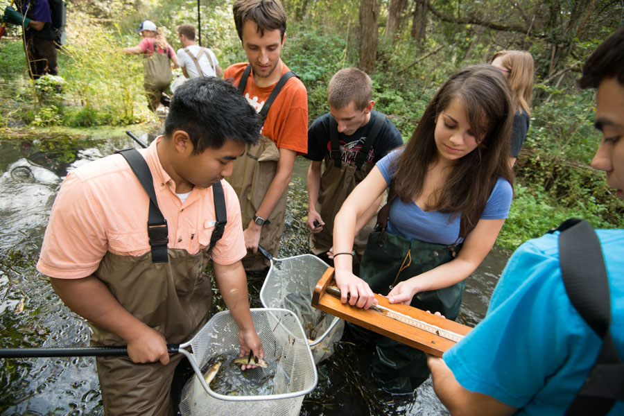 WSU students do field research on fish in a river.