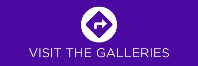 Visit the Galleries Graphic