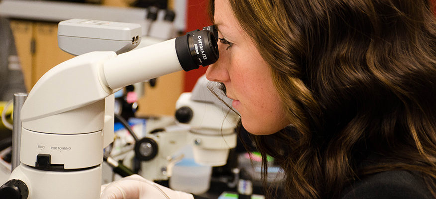 A female student looks through a microscope in a lab.