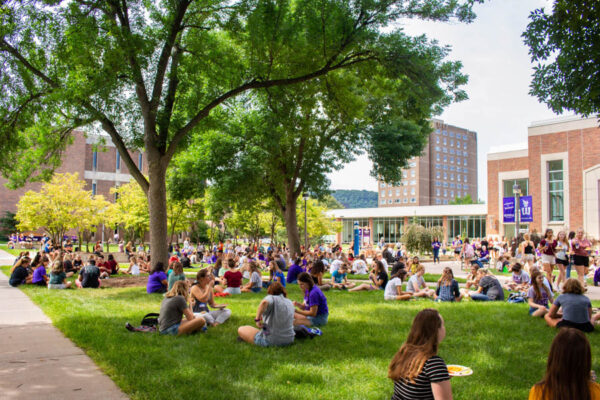 Groups of students gather on the grass in the courtyard on the WSU campus.