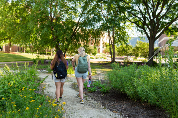 Two students walk through the Indigenous Learning Garden on the WSU campus.