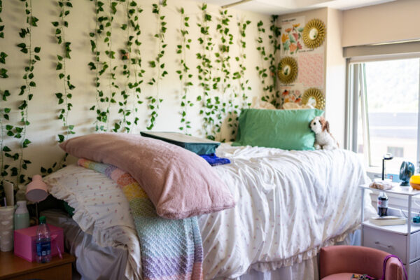 A room with a lofted bed that has storage below and faux greenery hanging along the wall in Sheehan Hall.
