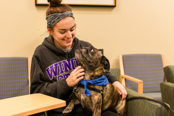 A student pets a therapy dog on the WSU campus.