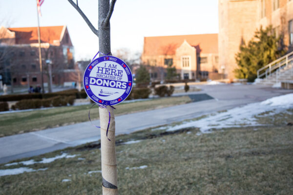 A tree on the WSU campus has a sticker that reads 