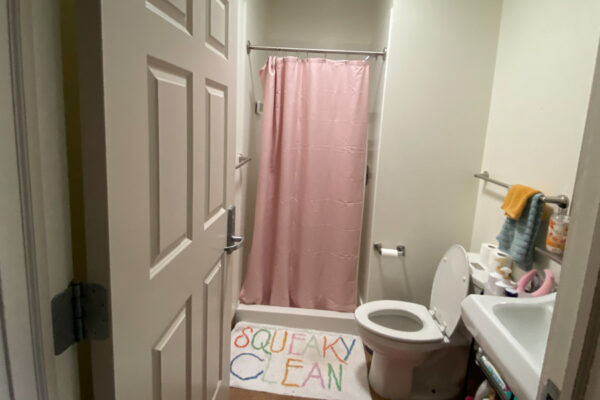 A bathroom in the WSU Sustainability House with a sink, toilet, and shower.